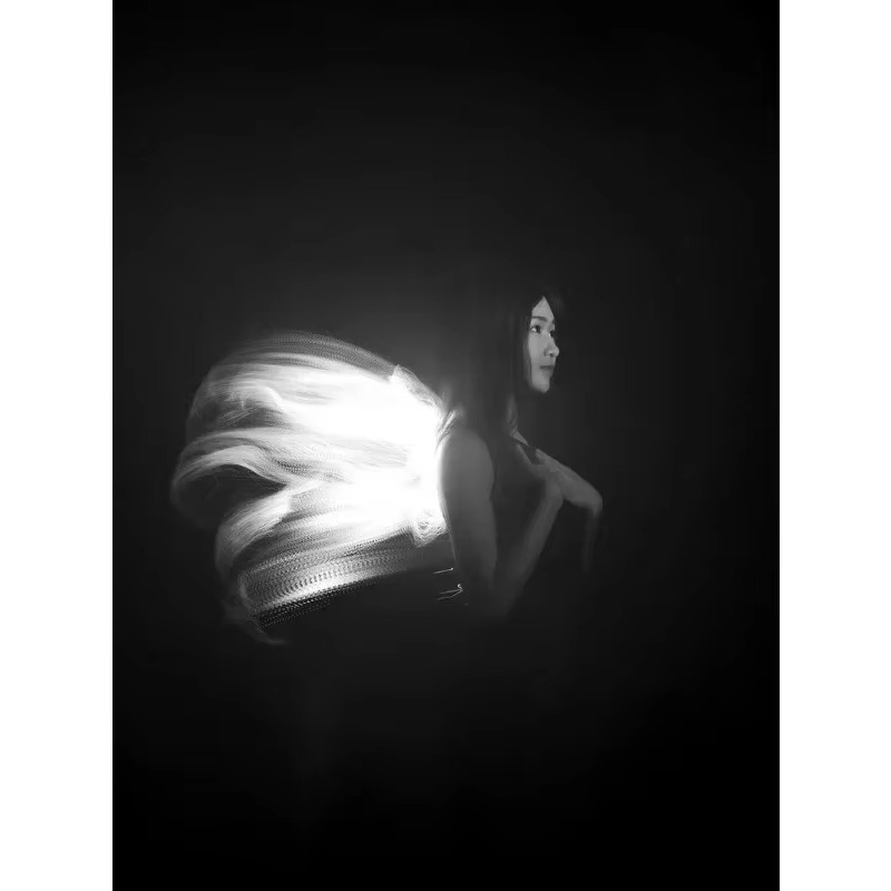 LLP lichtborstelmodule lichtte - Photography Lighting Guides recensie en prijs