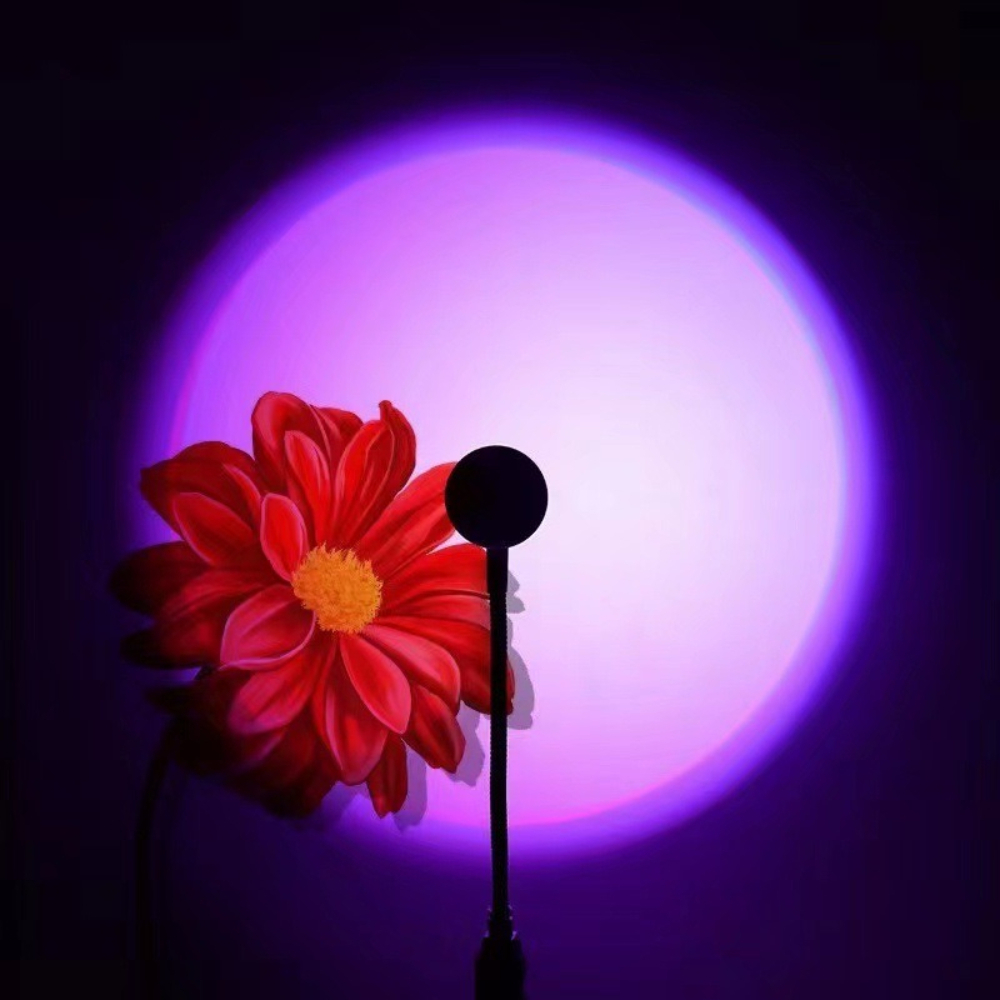 LED RGB zonsondergang-projecti - Photography Lighting Mood recensie en prijs